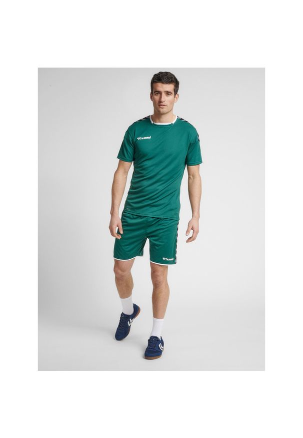 Jersey Hummel hmlAUTHENTIC Poly HML. Kolor: zielony, biały, wielokolorowy. Materiał: jersey. Sport: piłka nożna