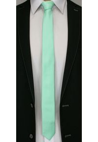 Jednokolorowy Krawat Męski, Śledź - 5 cm - Angelo di Monti, Jasnozielony. Kolor: zielony #2