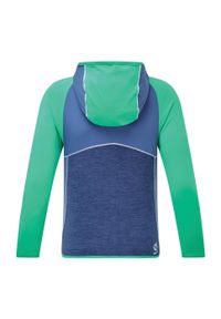 DARE 2B - Dziecięca Bluza Narciarska Hasty. Kolor: zielony. Sport: narciarstwo