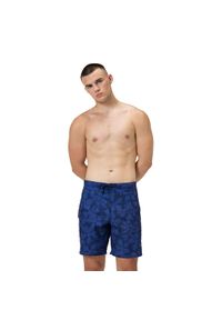 Spodenki szorty plażowe na basen męskie Speedo Print BoardShort. Kolor: niebieski. Wzór: nadruk