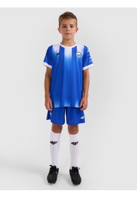 4f - 4F Koszulka klubowa wyjazdowa z sezonu 2025/26 dziecięca 4F x Stal Mielec - niebieska 134/140 (8-10 lat). Okazja: do domu. Kolor: niebieski. Materiał: włókno, dzianina. Wzór: gradientowy. Sezon: lato. Styl: młodzieżowy