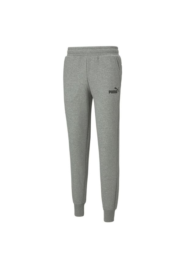 Spodnie treningowe męskie Puma ESS Logo Pants FL. Kolor: szary. Materiał: bawełna