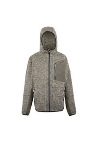 Regatta - Męska Bluza Polarowa Alven Z Pełnym Zamkiem Błyskawicznym. Kolor: beżowy. Materiał: polar. Sezon: zima. Styl: sportowy. Sport: turystyka piesza #1