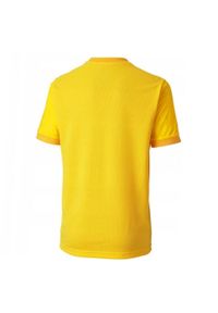 Puma - Koszulka Dziecięca TeamGoal 23. Kolor: żółty