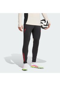 Adidas - Spodnie treningowe Liverpool FC Tiro 25 Competition. Kolor: czarny. Sport: piłka nożna