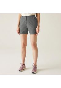 Regatta - Spodenki turystyczne damskie Xanthi. Kolor: szary. Materiał: elastan, bawełna. Sport: turystyka piesza #1