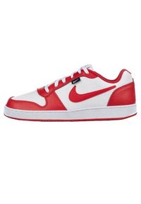 Buty do chodzenia męskie Nike Ebernon Premium. Zapięcie: sznurówki. Kolor: biały, wielokolorowy. Materiał: guma, materiał, syntetyk. Szerokość cholewki: normalna. Sport: turystyka piesza