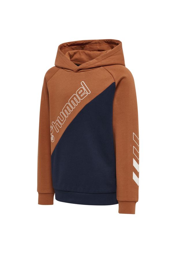 Bluza z kapturem dla dzieci Hummel Axel. Typ kołnierza: kaptur. Kolor: brązowy. Materiał: bawełna
