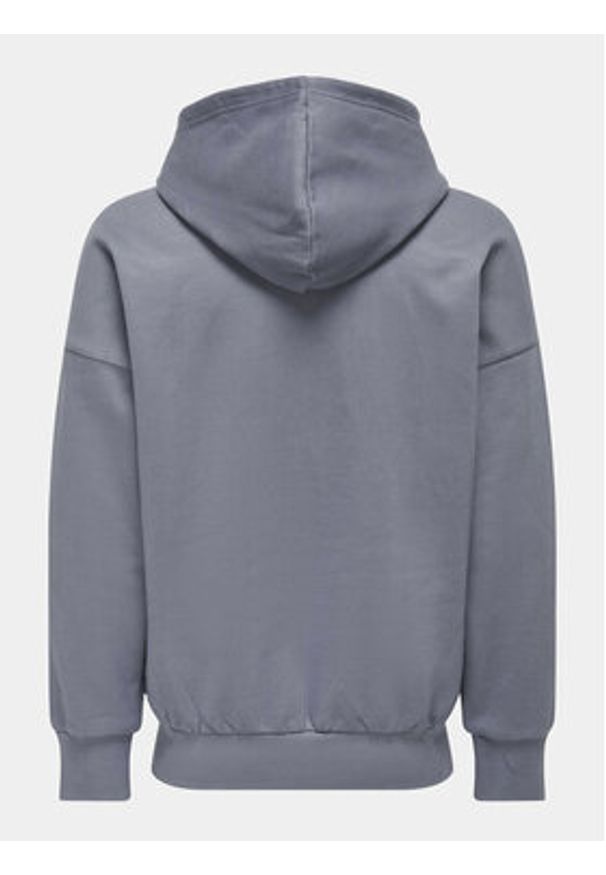 Only & Sons Bluza Dan 22026661 Niebieski Relaxed Fit. Kolor: niebieski. Materiał: bawełna