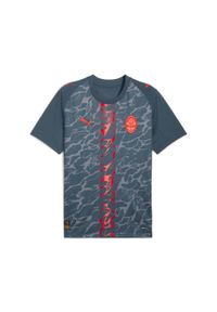 Puma - Męska koszulka wyjazdowa FC Shakhtar Donetsk 25/26 PUMA. Kolor: szary. Sezon: lato