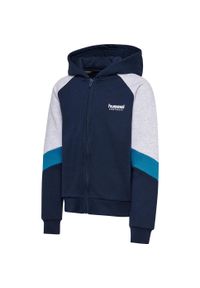 Dziecięca bluza z kapturem zapinana na zamek Hummel Blocked Loose. Typ kołnierza: kaptur. Kolor: niebieski #2
