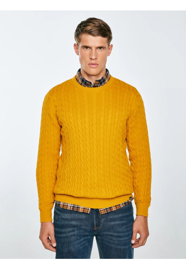 Big-Star - Sweter męski ze splotem warkoczowym żołty Amaris 201. Okazja: na co dzień. Kolor: żółty. Materiał: jeans, dzianina. Wzór: ze splotem. Styl: klasyczny, casual