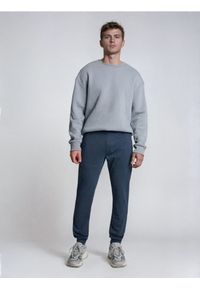 Sinsay - Spodnie jogger slim fit - granatowy. Kolor: niebieski