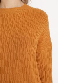Born2be - Brązowy Sweter o Klasycznym Kroju z Wytłoczonym Wzorem Gundall. Kolor: brązowy. Styl: klasyczny