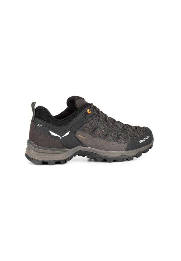 Buty Trekkingowe Męskie Salewa Mtn Trainer Lite Gtx. Kolor: brązowy. Materiał: tkanina, materiał, syntetyk. Sezon: zima