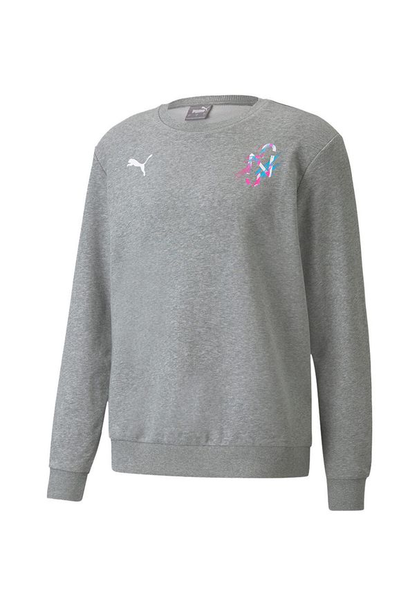 Bluza męska Puma Neymar JR Creativity Crew. Kolor: szary. Materiał: dresówka. Sport: piłka nożna