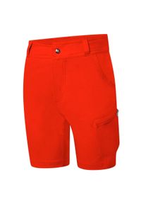 DARE 2B - Spodenki trekkingowe dla dzieci Dare2B Reprise II UPF 50+. Kolor: pomarańczowy, wielokolorowy, żółty. Materiał: elastan, poliamid. Styl: sportowy. Sport: turystyka piesza