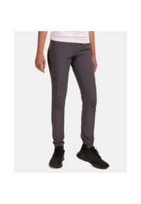 Damskie spodnie outdoorowe Kilpi MIMI-W. Kolor: szary. Materiał: nylon. Sport: turystyka piesza