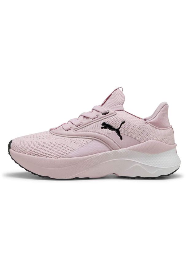 Adidasy Puma Softride Mayve, Kobiety. Kolor: różowy. Materiał: materiał