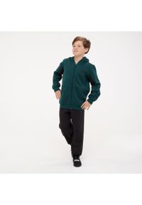 Dres dziecięcy Puma. Kolor: wielokolorowy, czarny, zielony. Materiał: dresówka