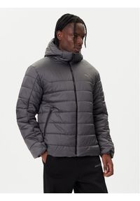 Puma Kurtka zimowa Ess 685211 44 Szary Regular Fit. Kolor: szary. Materiał: syntetyk. Sezon: zima #1