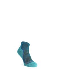 DARN TOUGH - Skarpetki damskie Darn Tough Light Hiker No Show Lightweight with Cushion. Kolor: zielony