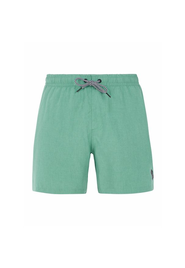 Szorty kąpielowe Protest Davey. Kolor: wielokolorowy, zielony, brązowy