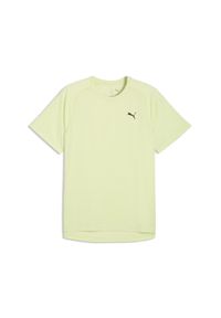 Puma - Męska koszulka treningowa PWRTRAIN PUMA. Kolor: zielony. Sport: fitness #1