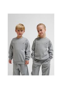 Bluza dziecięca Hummel Bee Loose. Kolor: szary. Materiał: materiał #1