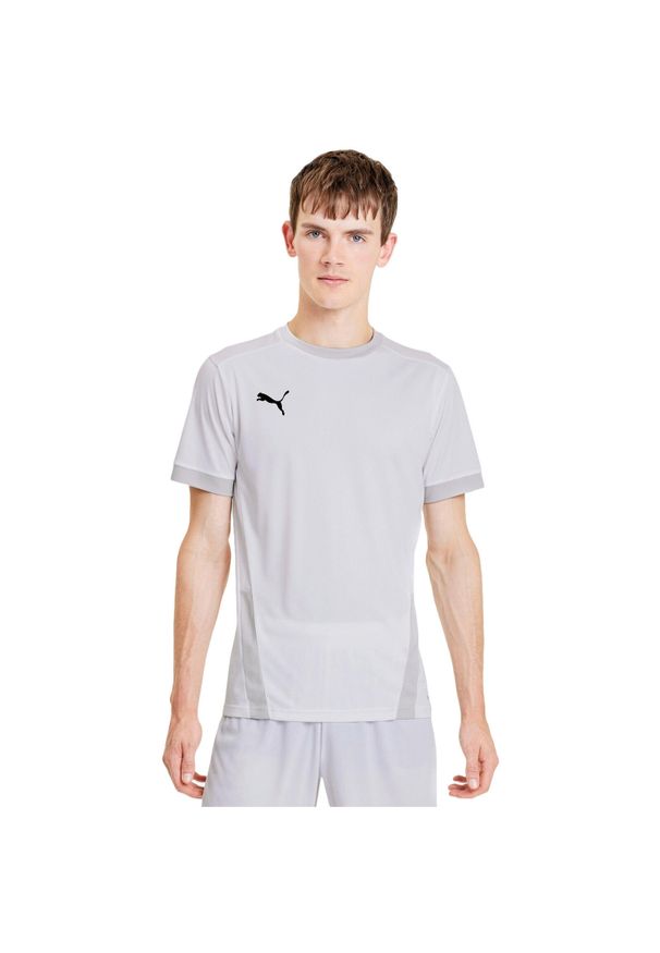 Podkoszulek Puma Teamgoal 23 Jersey, Mężczyźni. Kolor: szary. Materiał: jersey