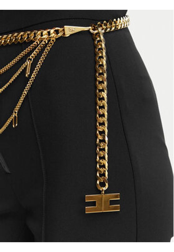 Elisabetta Franchi Pasek na talię CT-22B-62E2-V450 Złoty. Kolor: złoty