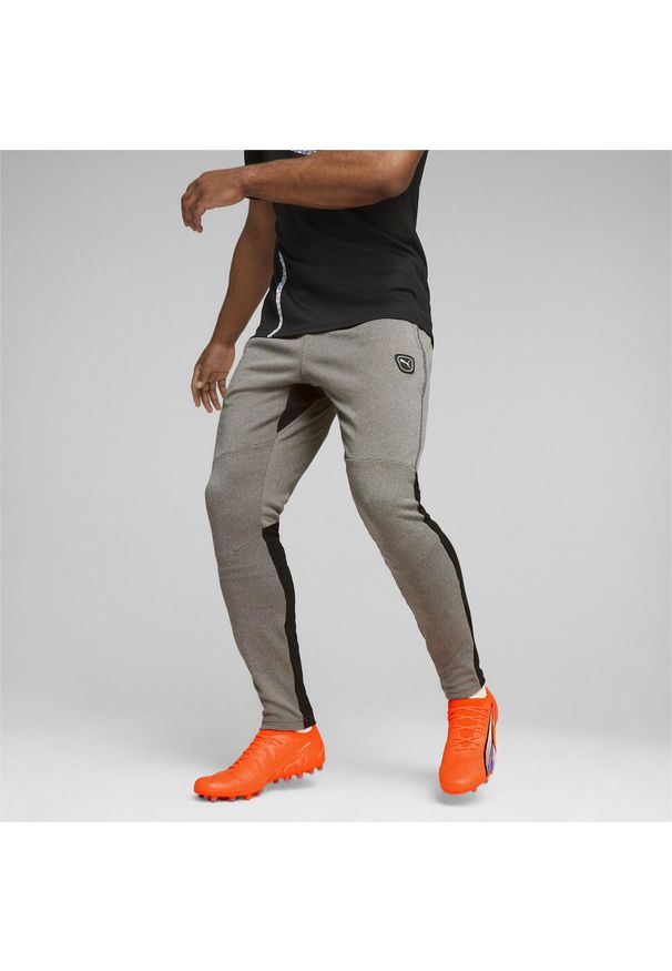 Spodnie Puma King Ultimate Training Pants, Mężczyźni. Kolor: szary. Materiał: poliester, materiał, dresówka. Sport: piłka nożna
