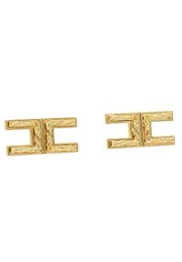 Kolczyki Elisabetta Franchi 0R-21K-31E2-V150 Oro 610. Kolor: złoty #1