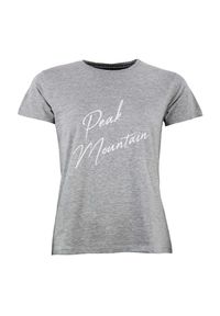 PEAK MOUNTAIN - Koszulka damska Peak Mountain Atresor. Kolor: szary. Długość rękawa: krótki rękaw. Długość: krótkie. Sport: outdoor #1