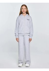 Big-Star - Bluza dziewczęca rozpinana z kapturem szara Milana 901. Okazja: na uczelnię, na co dzień. Typ kołnierza: kaptur. Kolor: szary. Materiał: dzianina. Wzór: melanż, haft. Styl: casual, klasyczny #6