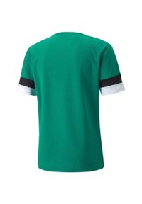 Puma - Męska Koszulka TeamRise. Kolor: zielony. Sport: turystyka piesza