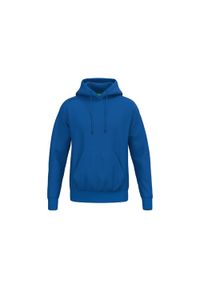 ERIMA - Bluza z kapturem dla dzieci Erima TS. Typ kołnierza: kaptur. Kolor: niebieski #1