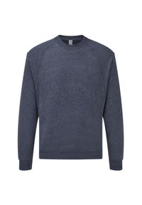FRUIT OF THE LOOM - Klasyczna Bluza Raglanowa Unisex Dla Dorosłych. Kolor: niebieski. Długość rękawa: raglanowy rękaw #1