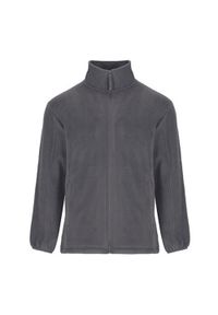 ROLY - Męska Bluza Polarowa. Kolor: szary. Materiał: polar. Sezon: zima. Styl: sportowy