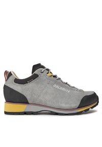 Dolomite Trekkingi W'S 54 Hike Low Evo GTX GORE-TEX 289210 Szary. Kolor: szary. Materiał: zamsz, skóra