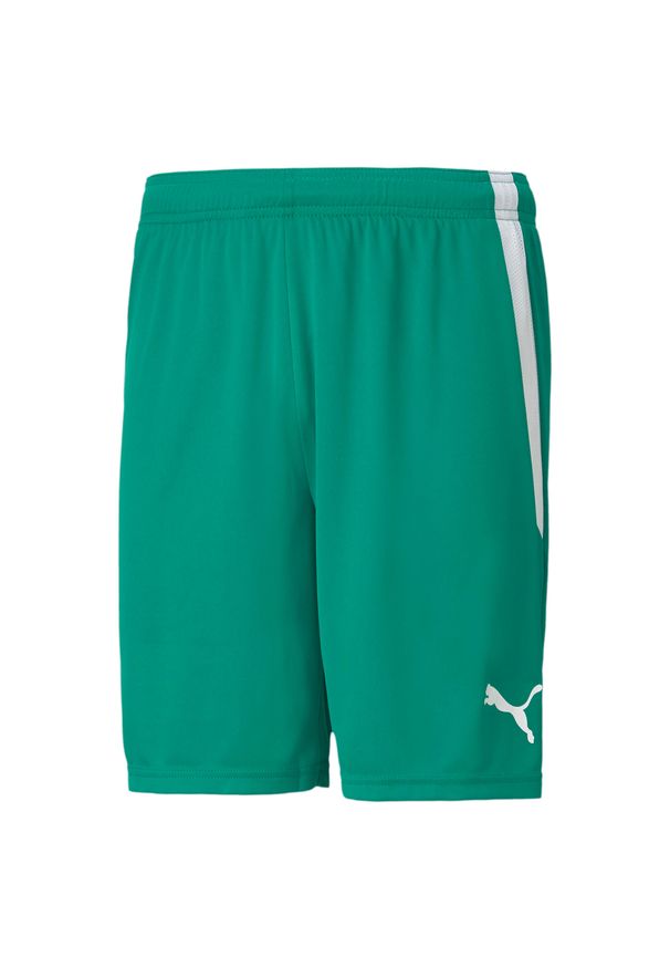 Spodenki męskie Puma teamLIGA. Kolor: biały, wielokolorowy, zielony. Sport: fitness, piłka nożna