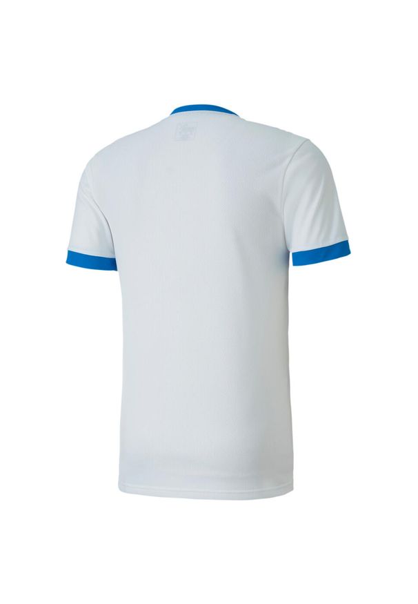 Koszulka męska Puma teamGOAL 23 Jersey. Kolor: biały, wielokolorowy, niebieski. Materiał: jersey. Sport: fitness