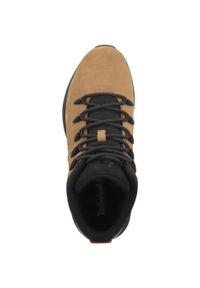 Buty trekkingowe męskie Timberland TB0A2FEP231. Kolor: brązowy. Materiał: skóra. Szerokość cholewki: normalna