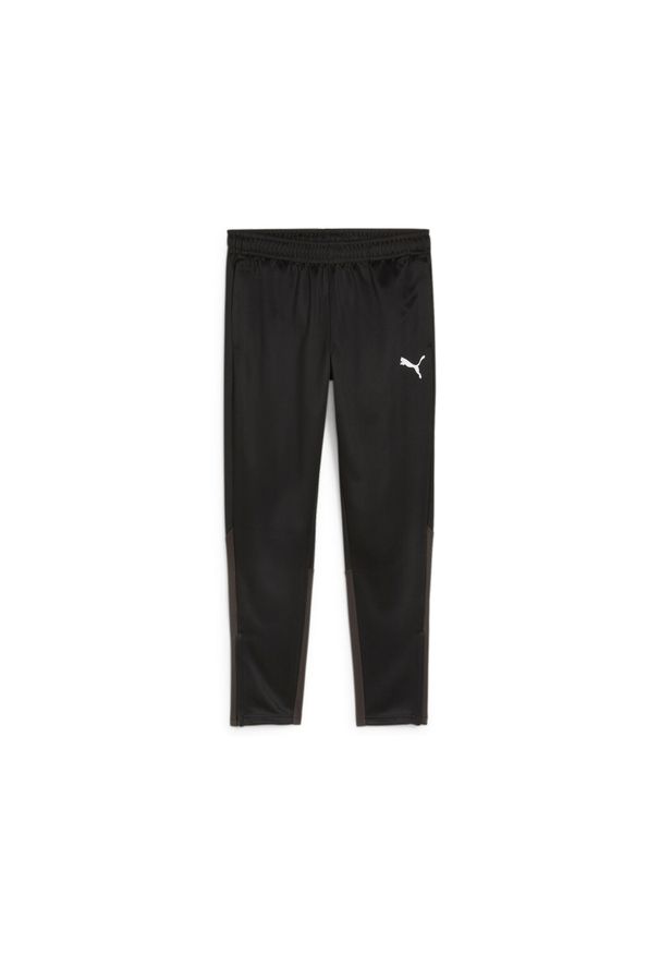 Spodnie treningowe Puma Teamgoal. Kolor: czarny, wielokolorowy, biały. Sport: piłka nożna