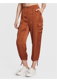 DKNY Spodnie materiałowe P2EKSA2W Brązowy Regular Fit. Kolor: brązowy. Materiał: syntetyk #1