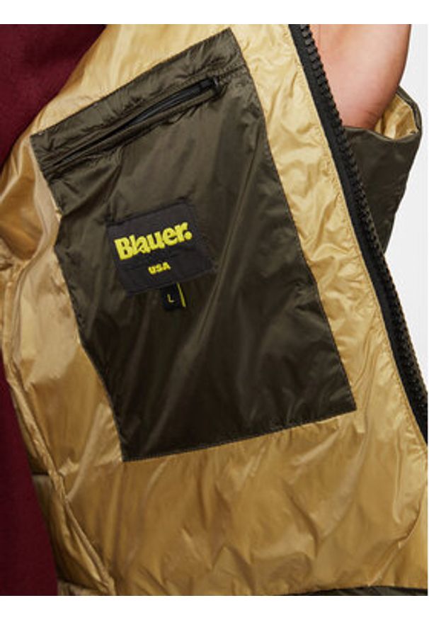 Blauer Kurtka puchowa 24WBLUC03024 Khaki Regular Fit. Kolor: brązowy. Materiał: syntetyk
