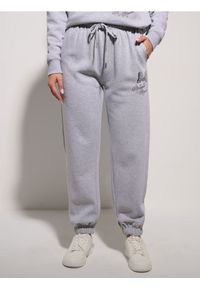 Sinsay - Spodnie jogger Minnie Mouse - szary. Kolor: szary. Wzór: motyw z bajki #1