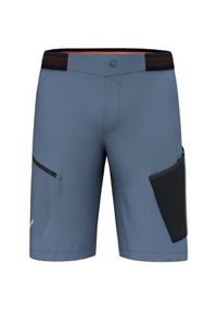 Spodenki turystyczne męskie Salewa Pedroc 3 DST M Cargo Shorts. Kolor: niebieski. Sport: turystyka piesza #1