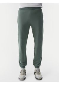 4f - 4F Spodnie dresowe 4FWSS24TTROM645 Zielony Regular Fit. Kolor: zielony. Materiał: bawełna