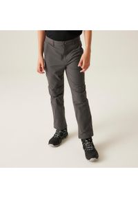 Regatta - Spodnie turystyczne dziecięce Highton Winter wodoodporne. Kolor: szary. Sezon: zima, lato. Sport: turystyka piesza #1